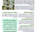 گاهنامه آگاهی