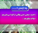 پله آگاهی