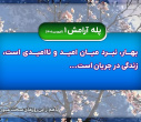 پله آگاهی