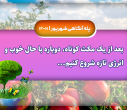پله آگاهی